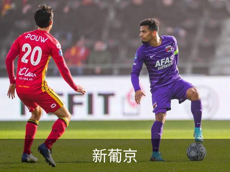 了解新葡京